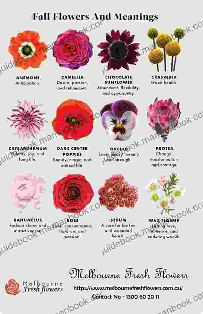 A Bouquet Of Colorful Flowers, Each With Its Own Unique Meaning In The Language Of Flowers. Like The Pitter Patter Of Rain