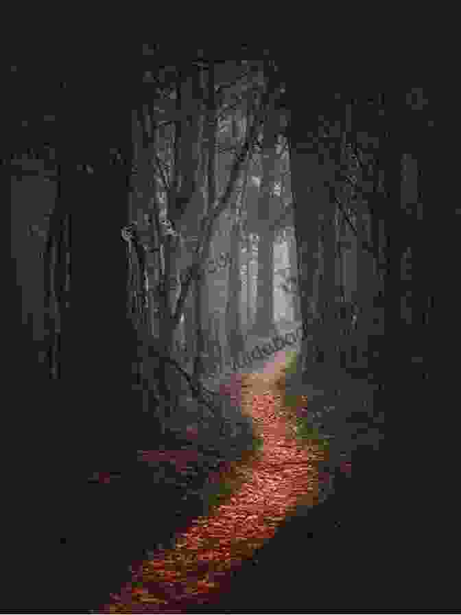 A Dark And Dangerous Forest, With A Path Leading Through The Middle. Shadow Lands (Savage Lands 6)