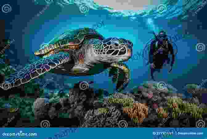 A Diver Swimming Alongside A Giant Sea Turtle In Dream Fish Floating Karlo Mila, Raja Ampat, Indonesia, Surrounded By Vibrant Coral Gardens And Marine Life Dream Fish Floating Karlo Mila