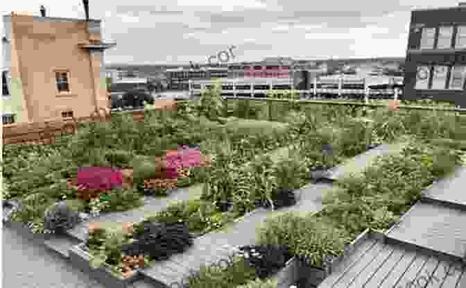 A Panoramic View Of A Lush Rooftop Garden With Vibrant Flower Beds, Seating Areas, And A Breathtaking Cityscape Backdrop. Grow Bag Gardening: The Revolutionary Way To Grow Bountiful Vegetables Herbs Fruits And Flowers In Lightweight Eco Friendly Fabric Pots Perfect For: Balconies Rooftops Grow Anywhere