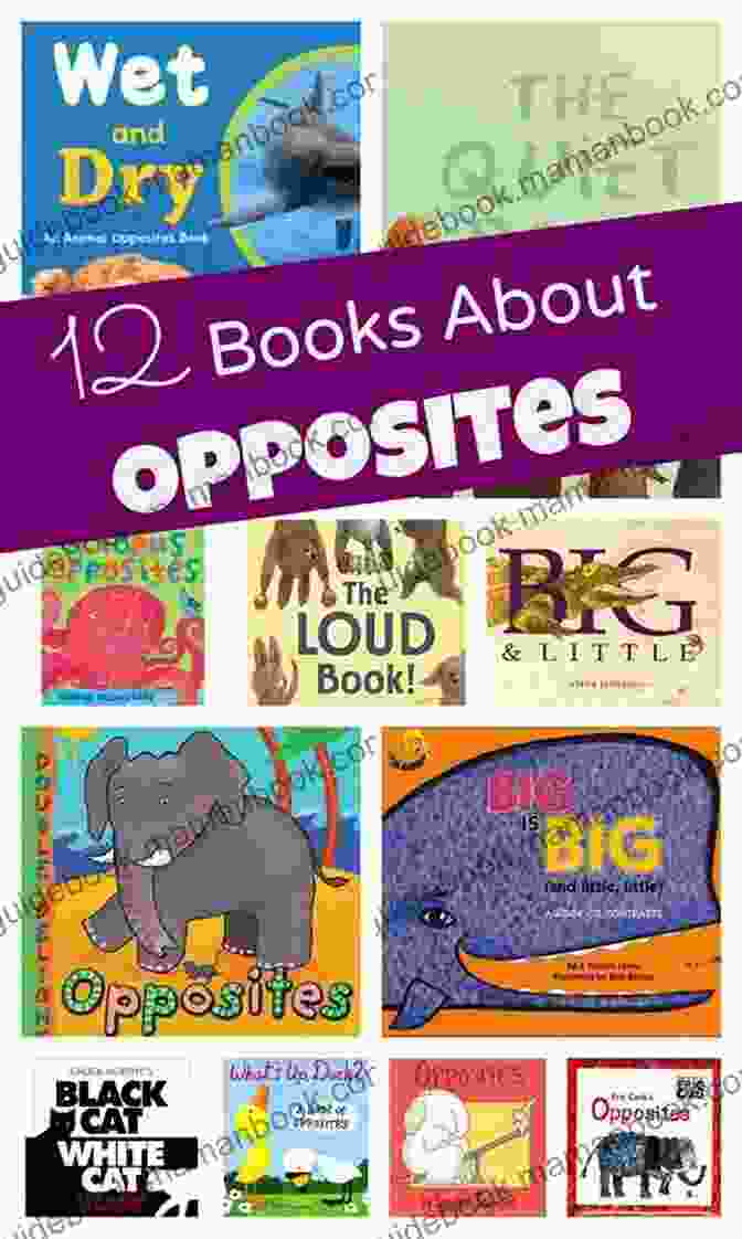 A Vibrant Collection Of 12 Baby Toddler Opposites Books That S Different : Opposites For Kids: Early Learning K 12 (Baby Toddler Opposites Books)