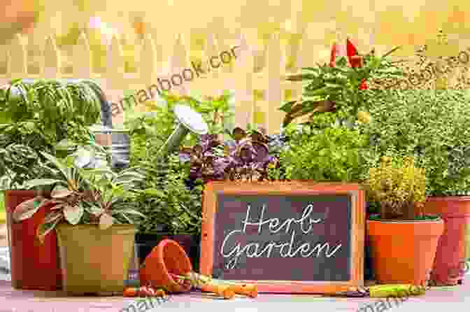A Vibrant Herb Garden With Various Medicinal Plants The Native American Herbalist S Bible 10 In 1 : Official Herbal Medicine Encyclopedia Grow Your Personal Garden And Improve Your Wellness By Discovering The Native Herbal Dispensatory