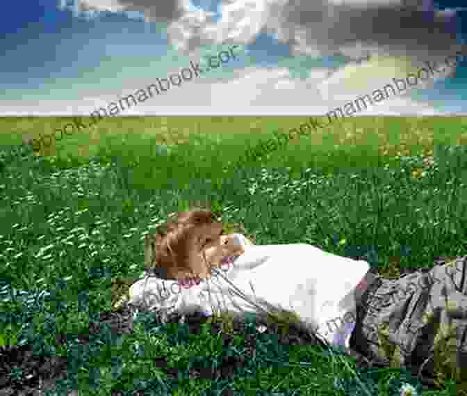 A Young Boy Lying On The Ground, Surrounded By Flowers New Selected Poems Gil Adamson