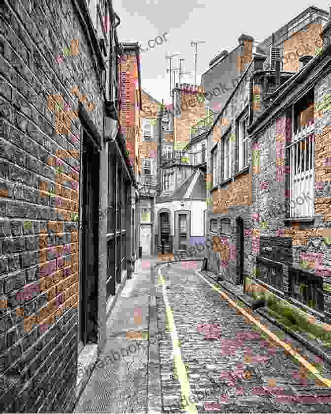 A Young Woman In A Victorian Dress Standing In A Cobblestone Street, Surrounded By Old Buildings The Girl From Poor House Lane (The Poor House Lane Sagas 1)