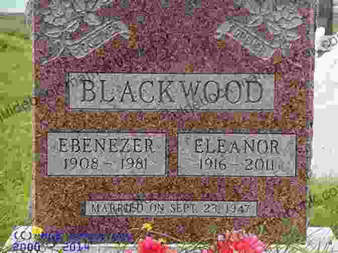 Dr. Eleanor Blackwood, The Enigmatic Leader Of The Soul Diggers, Known For Her Unwavering Passion For History And Archaeology Soul Diggers Terry Spring