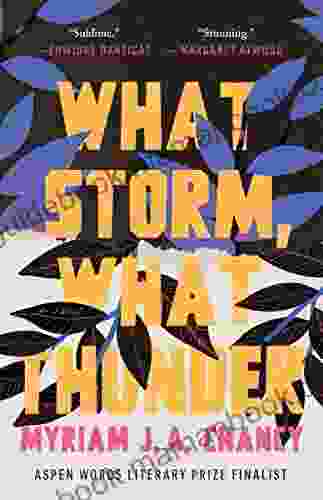 What Storm What Thunder Myriam J A Chancy